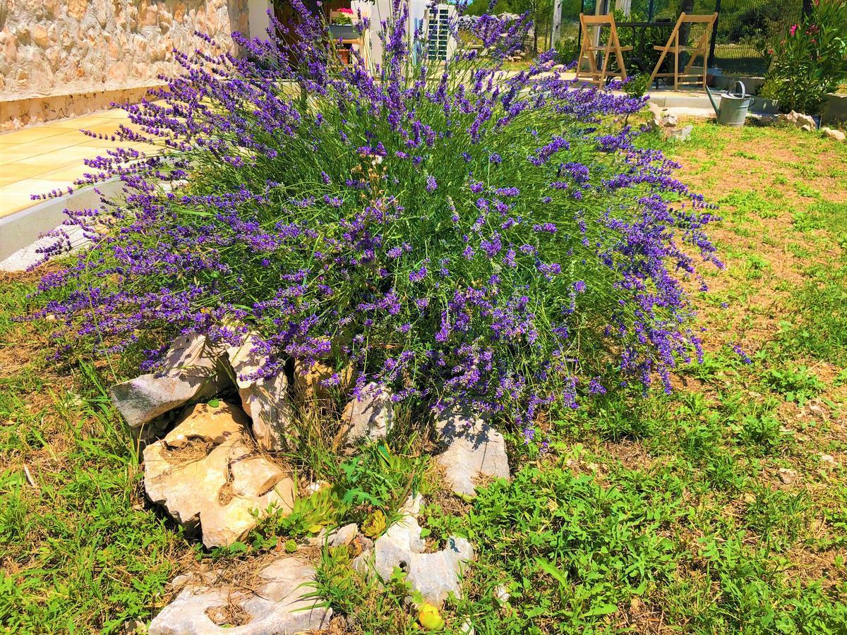 Apartments Village Lozovac Dış mekan fotoğraf